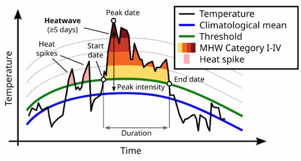 How are Marine Heatwaves calculated ?
